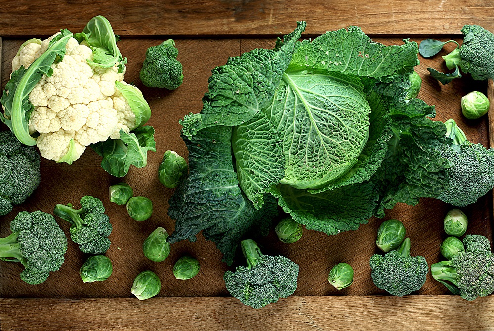 What is the difference between cabbage and cauliflower? Blanc Media LTD
